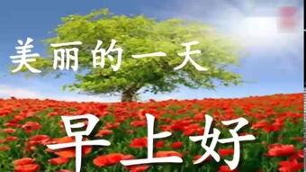 生命中最美好的一天,生命中最美好一天的温馨回忆