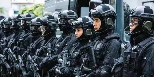 警察之战,英勇无畏的正义较量