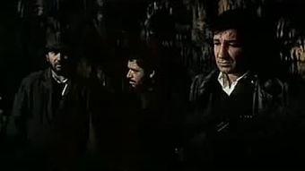 索比堡（国语版）,揭秘二战犹太人大屠杀的黑暗历史