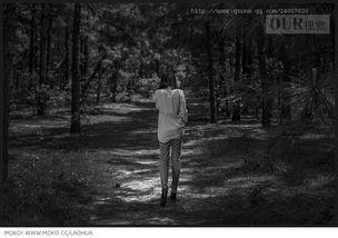 黑白森林,探寻神秘森林的奇幻之旅