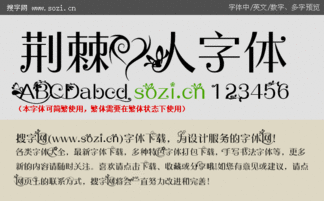 荆棘爱人,探寻人生路上的坎坷与美好