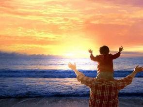 父爱归程,一段感人至深的父子重逢之旅